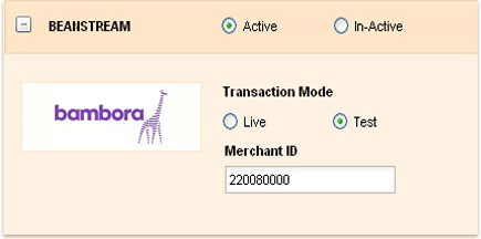 Payment for invoices through Bambora