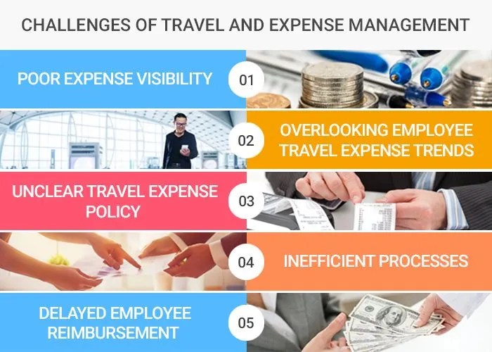 expense software