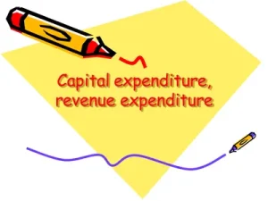 Capital and Revenue Expenditures: Some Key Differences