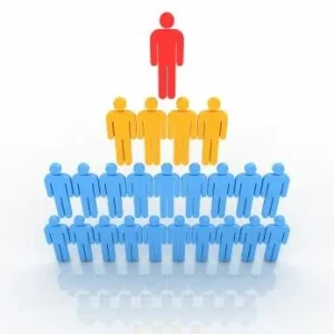 Ideal Organizational Structures for SME’s