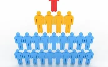 Ideal Organizational Structures for SME’s