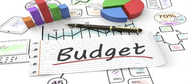 Business Budget