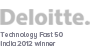 Deloitte Fast 50 India 2012 winner