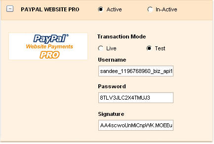 Payment for invoices through PAYPAL WEBSITE PAYMENTS PRO